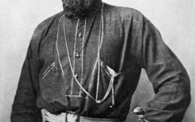 Il CONTROSENSO DEI CONTROSENSO – di Giuliana Ridolfi Cardillo