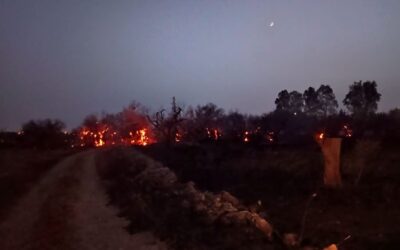 Incendi: Italia peggio della Grecia, prima in Ue per ettari arsi