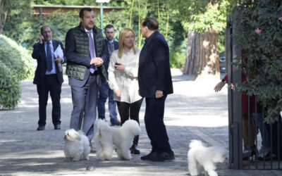 Centro destra: vertice Berlusconi-Meloni-Salvini