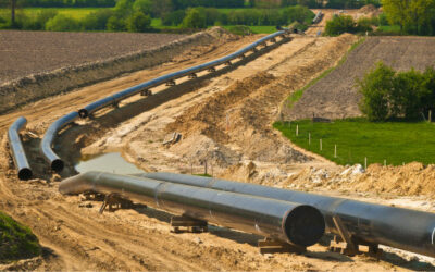 Cafà (Cifa): “L’Europa non ceda al ricatto sull’energia dell’Algeria”