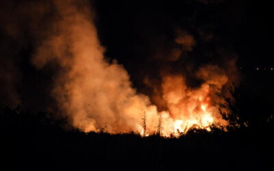 VOLO CARGO PRECIPITATO IN GRECIA ‘A bordo non ci sono sostanze pericolose’