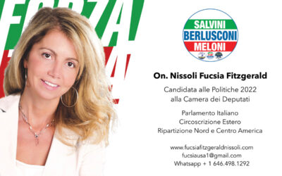 Nissoli: Chiede la fiducia ai suoi elettori