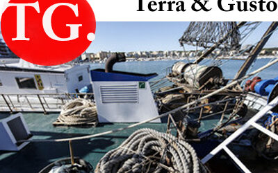 Fao, pesca e acquacoltura fondamentali per cibo e lavoro