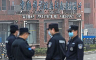 Cina: la verita` su il Covid 19