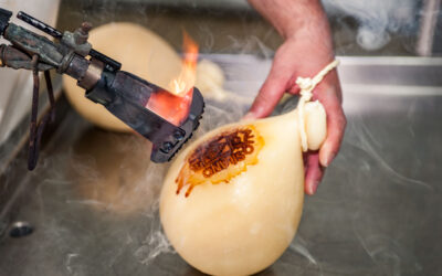 Il Caciocavallo silano Dop è tra i 50 formaggi Migliori al mondo