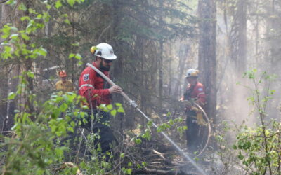 Incendi in Canada e Usa