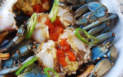 Granchio blu:  un mostro distruttivo in mare, un eccellenza in cucina