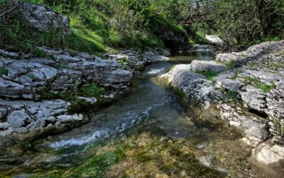 Le sorgenti pontina – Una storia da raccontare