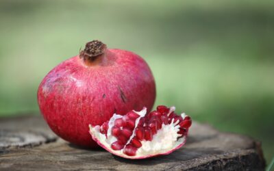 Terra Gusto: La melagrana