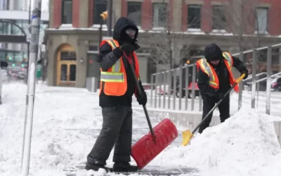 Le praterie canadesi sotto una morsa di freddo glaciale