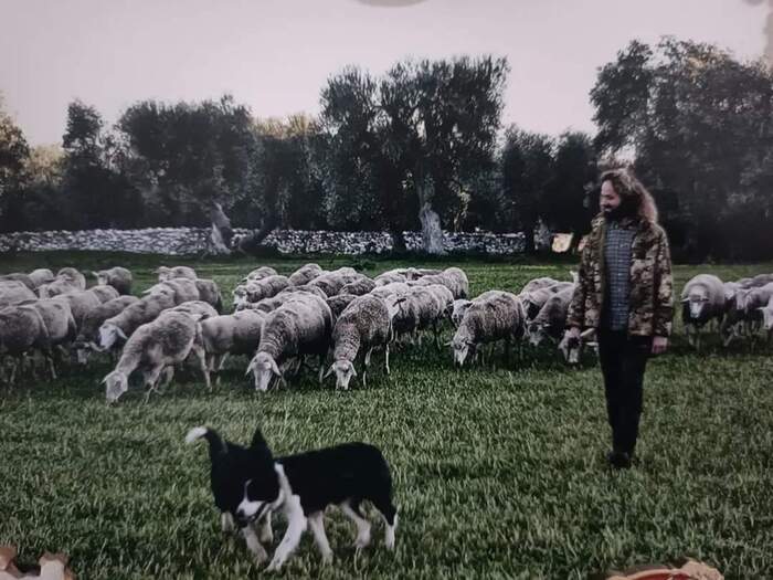 Dalla transumanza alla trasformazione: l’eredità di famiglia di Luigi Giordano