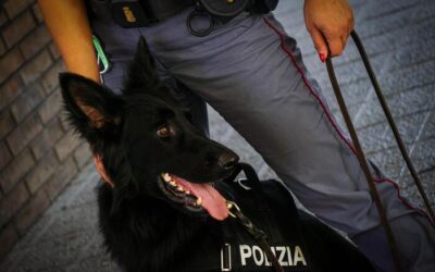 Agguato a Scampia, ucciso un uomo mentre era dal barbiere