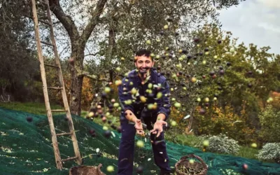 Ulivi e tradizioni, viaggio nei borghi dell’olio di qualità