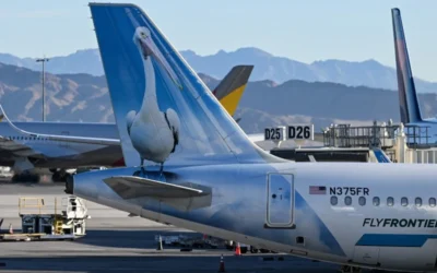 Disperso in Alaska un aereo con 10 persone a bordo