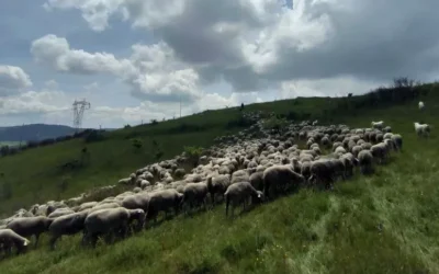 Una famiglia nella transumanza, tra tradizione e modernità