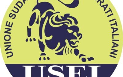 Il bonifico che fa discutere: perché l’USEI finanzia Noi Moderati?