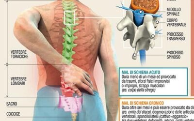 Scoperti nuovi meccanismi alla base del mal di schiena