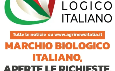 Nasce il Marchio Biologico Italiano: ecco come riconoscere il bio 100% Made in Italy
